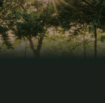 도심 속 풍부한 자연환경